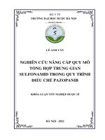Nghiên cứu nâng cấp quy mô tổng hợp trung gian sulfonamid trong quy trình Điều chế pazopanib   lê anh văn