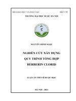 Nghiên cứu xây dựng quy trình tổng hợp berberin clorid   nguyễn minh ngọc