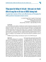 Tổng quan hệ thống về chi phí   hiệu quả các thuốc Điều trị ung thư vú di căn có her2 dương tính   lưu nguyễn nguyệt trâm, nguyễn thị thanh hương