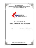 Báo cáo Bài tập lớn: Phân tích và Thiết kế Hệ thống bán vé ga Lạc Hồng - Lập trình phân tán Java