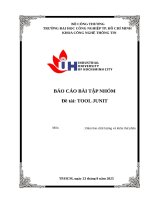 Báo cáo Tiểu luận: Tìm hiểu và ứng dụng công cụ hỗ trợ kiểm thử JUnit