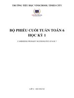 Bộ phiếu cuối tuần hki môn toán cambridge lớp 6 hệ chuẩn vinschool