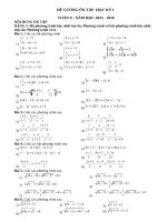 Đề cương ôn tập học kì 1 môn toán 9 năm học 25-26
