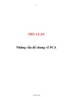 Tiểu luận đại học PCA, những vấn đề chung và những vấn đề liên quan