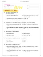 Ôn thi cuối kỳ đảm bảo và kiểm thử chất lượng phần mềm - IUH (Cuối kì Kiểm thử)