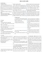 MÙA XUÂN CHÍN - VĂN 10