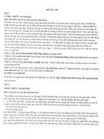 ĐỀ ÔN TẬP VĂN 10