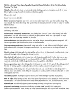 Tổng hợp từ vựng Tiếng Anh chuyên ngành: Các tác nhân gây ngộ độc thực phẩm và Triệu chứng (Song ngữ Anh - Việt).