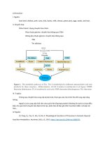 Các amino acid thiết yếu có nhánh