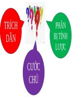 Thực hành tiếng Việt: Sử dụng trích dẫn, cước chú và cách đánh dấu tỉnh lược trong văn bản