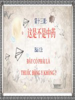 13第十三课 这是不是中药 Đây có phải thuốc Đông y không