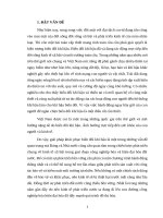 Tiểu luận - Nghiên cứu một số giải pháp nhằm ứng phó với biến đổi khí hậu ở Việt Nam hiện nay