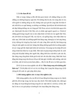 Tiểu luận MT&CN - Bán hàng rong trên đường phố hiện nay