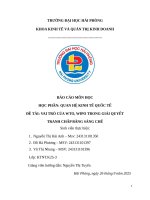 Đề tài vai trò của wto, wipo trong giải quyết tranh chấp bằng sáng chế