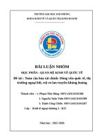 Toàn cầu hóa tài chính dòng vốn quốc tế, thị trường ngoại hối, rủi ro lan truyền khủng hoảng
