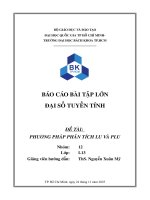 Báo cáo bài tập lớn Đại số tuyến tính Đề tài phương pháp phân tích lu và plu