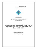 Nghiên cữu sản lượng xuất khẩu một số mặt hàng chủ yếu của việt nam giai Đoạn 1995–2024