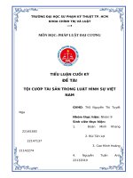 Đề tài tội cướp tài sản trong luật hình sự việt nam