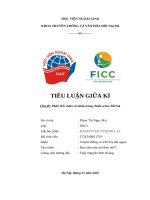 Tiểu luận giữa kì chủ Đề phân tích video cá nhân trong chuỗi series tiktok