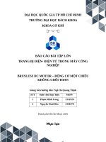 Bài tập lớn trang bị Điện  Điện tử trong máy công nghiệp brusless dc motor – Động cơ một chiều không chổi than