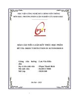 Báo cáo tiểu luận kết thúc học phần Đề tài object detection in autonomous