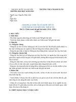 Nguyễn diệu linh