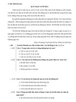 Đề thi cuối HKI lớp 3 BỘ SÁCH CHÂN TRỜI SÁNG TẠO