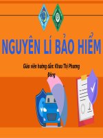 Bảo hiểm xe hơi bản thuyết trình so sánh theo phong cách hiện Đại rõ nét xanh hải quân vàng xanh dương (1)