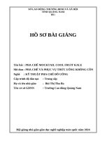 Hồ sơ Bài giảng Hội giảng Quốc gia – Giáo dục nghề nghiệp toàn quốc - Nghề Kỹ thuật pha chế đồ uống