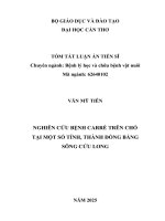 Tóm tắt nghiên cứu bệnh carré trên chó tại một số tỉnh, thành Đồng bằng sông cửu long