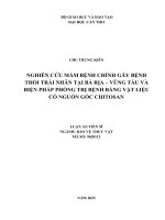 Nghiên cu Ầbnhchnhgbnhthi trái nhn tại bàr vngtàuvàbin há hng tr bnhbngvtiuc ngun gcchito7n