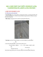 Phúc trình hóa hữu cơ 2