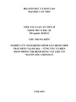Tóm tắt nghiên cu Ầbnhchnhgbnhthi trái nhn tại bàr vngtàuvàbin há hng tr bnhbngvtiuc ngun gcchito7n