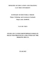 Tóm tắt tiếng anh nghiên cứu bệnh carré trên chó tại một số tỉnh, thành Đồng bằng sông cửu long