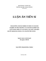 Ảnh hưởng trách nhiệm xã hội của doanh nghiệp về môi trường của doanh nghiệp sản xuất hàng Điện tử gia dụng tại việt nam Đến quyết Định mua hàng của người ti