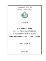 Luận văn giá trị chẩn Đoán hẹp tắc Động mạch chi dưới Ở bệnh nhân Đái tháo Đường trên máy chụp cắt lớp vi tính 128 dãy