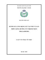 Luận văn Đánh giá lắng Đọng sắt tại tim và gan trên cộng hưởng từ Ở bệnh nhân thalassemia