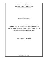 Tóm tắt nghiên cứu Đặc Điểm sinh học sinh sản và thử nghiệm sinh sản nhân tạo cá song da báo (plectropomus leopardus lacepède, 1802)