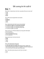 Đề cương Ôn tập môn Nhập môn internet và e-learning ehou