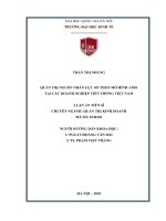 Luận Văn Quản Trị Nguồn Nhân Lực Số Theo Mô Hình Amo Tại Các Doanh Nghiệp Viễn Thông Việt Nam.pdf