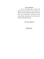 Chất lượng công tác Đảng, công tác chính trị nhiệm vụ quản lý, bảo vệ biên giới quốc gia của Đồn biên phòng Ở các tỉnh tây bắc hiện nay