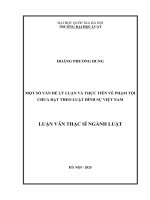 Luận văn một số vấn Đề lý luận và thực tiễn về phạm tội chưa Đạt theo luật hình sự việt nam