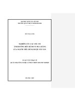 Luận văn nghiên cứu các yếu tố Ảnh hưởng Đến hành vi mua hàng của người tiêu dùng rượu núi tản