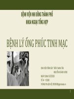Bệnh lý Ống phúc tinh mạc
