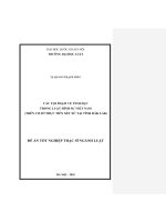 Luận văn các tội phạm về tình dục trong luật hình sự việt nam (trên cơ sở thực tiễn xét xử tại tỉnh Đắk lắk)
