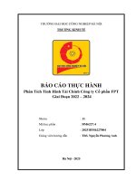 Nhóm 11 báo cáo pttcdn (1)