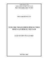 Tuổi chịu trách nhiệm hình sự theo pháp luật hình sự việt nam