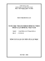 Tóm tắt tuổi chịu trách nhiệm hình sự theo pháp luật hình sự việt nam