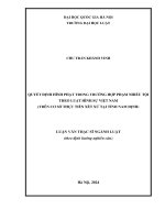 Luận văn quyết Định hình phạt trong trường hợp phạm nhiều tội theo luật hình sự việt nam (trên cơ sở thực tiễn xét xử tại tỉnh nam Định)