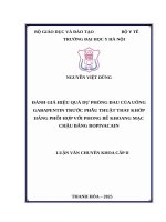 Đánh giá hiệu quả dự phòng đau của uống gabapentin trước phẫu thuật thay khớp háng phối hợp với phong bế khoang mạc chậu bằng ropivacain